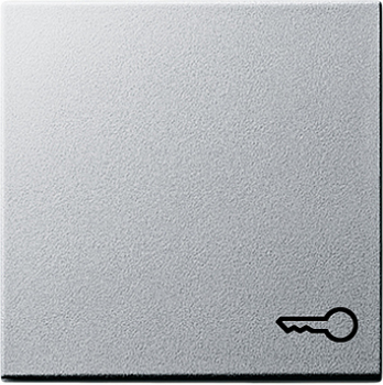 GIRA 028726 Wippe Taster Symbol Tür